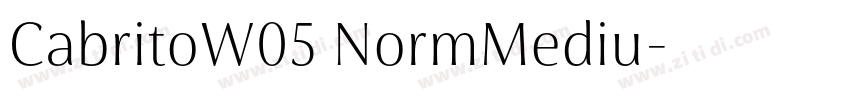 CabritoW05 NormMediu字体转换